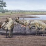 Une activité humaine vieille de 1,4 million d'années découverte dans le piège de sables mouvants d'Orce SciTechDaily