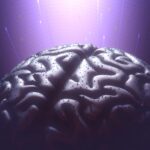 Une nouvelle étude révèle le secret moléculaire des souvenirs à vie SciTechDaily