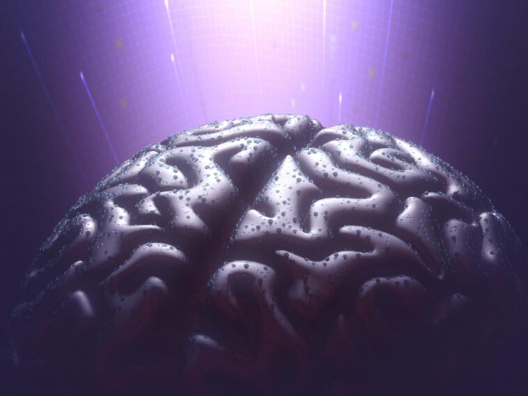 Une nouvelle étude révèle le secret moléculaire des souvenirs à vie SciTechDaily