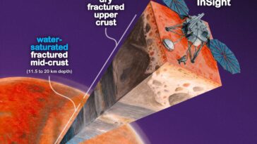 Avons-nous découvert de l'eau liquide sur Mars ? Les données surprenantes de l'atterrisseur InSight de la NASA