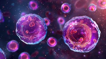 Purple Immune Cells