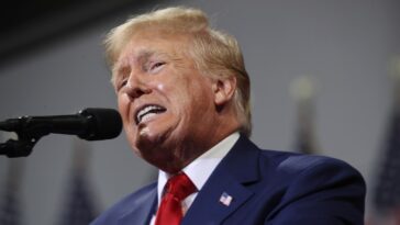Donald Trump a été surpris que le gouverneur de New York n'ait pas été gentil avec lui pendant la convention nationale démocrate