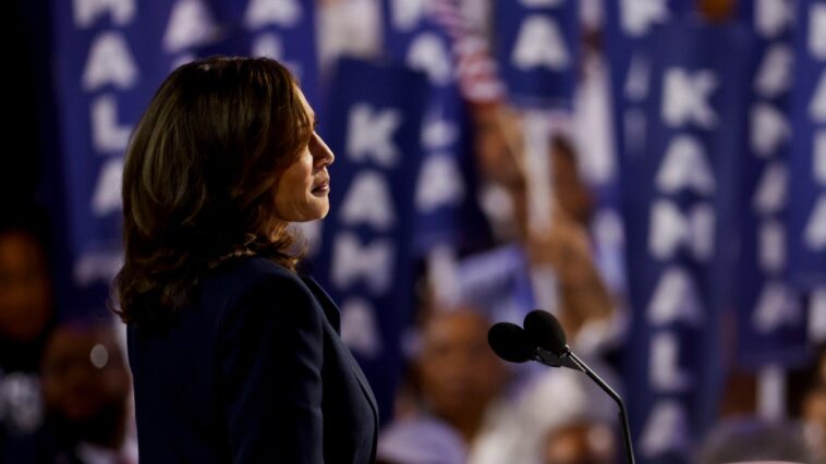 Kamala Harris fait valoir son rôle de chef de file de l'unité dans son discours au Comité national démocrate de 2024