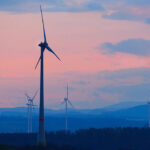 cc Michael Mueller, modified, https://flickr.com/photos/104342908@N08/51065801006/in/photolist-2kUHAzF-2nHCCUL-2ngBcp5-2mYHKQr-2k3ZxVu-2kNvzwW-2oDkabD-8VUic4-2f3akaZ-2jYZy5v-bv7HCM-5pHdXp-bv7Fck-bv7y8p-bv7NXz-bv7AnV-bv7KxM-bv7PGc-bv7J9K-bv7CrX-8XaGEX-JEgtgK-bv7NcB-bv7z2H-bv7BGc-2gHxaYg-2kKxUYX-2oYho9c-dPrBSV-dPxdeS-dPxdBq-2pEhnp9-dPrCQ4-dPrxAg-dPcTkv-dPryZT-dPitMj-dPxebj-dPxbwW-dPxbj3-dPrzwt-dPcNBg-4QGtQD-dPirPG-dPcP2F-dPcQfR-dPisnL-dPcPoV-dPxfJj-dPrAWD