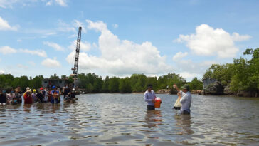 Students doing field work in Hau Giang Province and Can Tho City, learning to collect data on surface-water and riverbed water and sediment quality changes. Photo credit: Nguyen Minh Quang, co-founder Mekong Environment Forum, modified, all rights reserved for author.