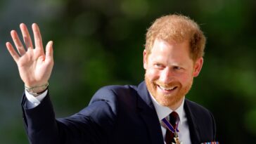 Le prince Harry se rend à New York pour lutter contre le changement climatique
