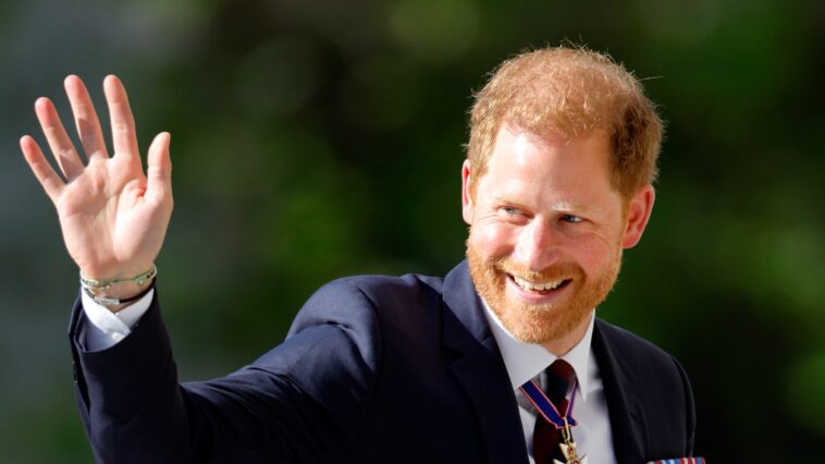 Le prince Harry se rend à New York pour lutter contre le changement climatique