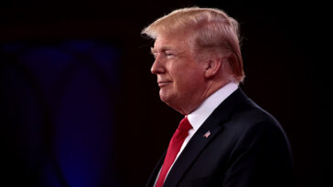 cc Gage Skidmore, modified, https://commons.wikimedia.org/wiki/File:Donald_Trump_%2839630669575%29.jpg