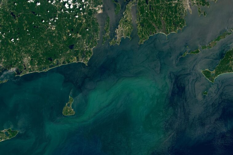 Merveilles cachées : un morceau de Rhode Island dans l'Atlantique SciTechDaily