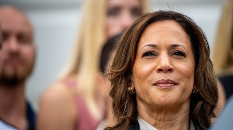 Qui sera le vice-président choisi par Kamala Harris ? Voici les finalistes