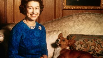 Sarah Ferguson célèbre la Journée internationale du chien avec les corgis les plus précieux de la reine Elizabeth