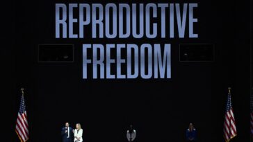 Trois femmes soulignent les horreurs d'un monde post-Dobbs à la DNC 2024