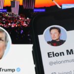 Trump affirme qu'Elon Musk « ne peut pas vraiment » faire partie de son cabinet après avoir déclaré qu'il y réfléchirait