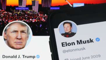 Trump affirme qu'Elon Musk « ne peut pas vraiment » faire partie de son cabinet après avoir déclaré qu'il y réfléchirait