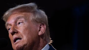 L'étrange crypto-monnaie de Trump est en fait parfaitement conforme à sa marque