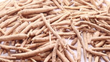 La prise de suppléments d’ashwagandha peut-elle améliorer la santé ?
