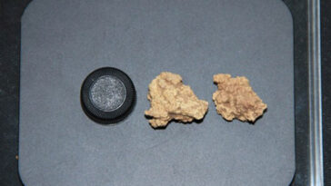 Deux anciens grains de fromage sur une assiette à côté d'un bouchon de bouteille, qui a à peu près la même taille.