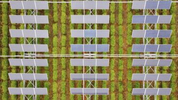 Les fermes solaires et les fermes agricoles peuvent-elles coexister ?