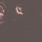 Après avoir absorbé un agent pathogène, un neutrophile humain libère son ADN dans son environnement. Cet ADN forme un filet capable de piéger et de tuer d’autres agents pathogènes.