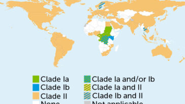 Même si les vaccins contre le mpox arrivent en Afrique, des questions subsistent sur le virus