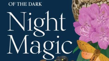 "Night Magic" vous invite à célébrer les merveilles vivantes de l'obscurité