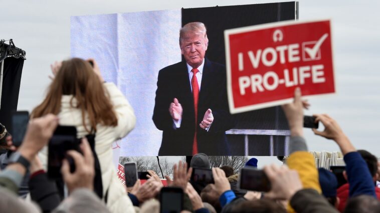 Trump affirme que sa stratégie en matière d’avortement repose sur « les droits des États » – mais même lui ne la suit pas Trump affirme que sa stratégie en matière d’avortement repose sur « les droits des États » – mais même lui ne la suit pas