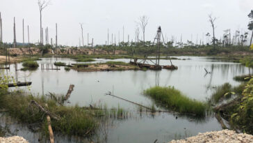 L'image montre un ciel gris sur fond d'arbres nus sans feuilles. Le plan d'eau au centre apparaît également gris, avec quelques branches d'arbres flottantes et des bâtons qui dépassent.