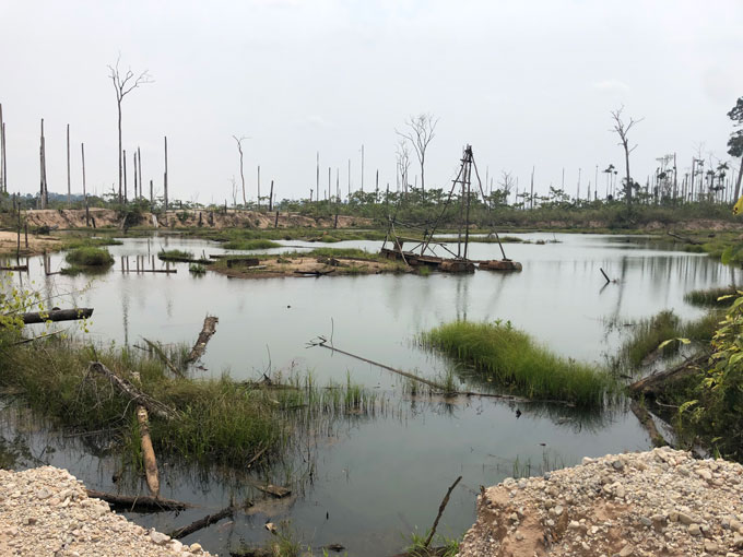 L'image montre un ciel gris sur fond d'arbres nus sans feuilles. Le plan d'eau au centre apparaît également gris, avec quelques branches d'arbres flottantes et des bâtons qui dépassent.