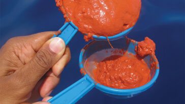 Deux mains tiennent deux tasses bleues qui ressemblent à des tasses à mesurer. Chaque tasse contient une substance rouge orangé qui semble avoir la consistance de la boue.