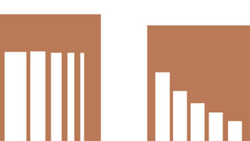 Un modèle des deux panels utilisés par les chercheurs pour tester les chats. Celui de gauche présente des trous de même hauteur mais de largeur décroissante. Celui de droite présente des trous de même largeur mais de hauteur décroissante.