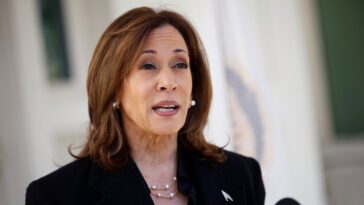 Kamala Harris demande aux Américains : allez-vous vraiment élire un homme qui a de bonnes choses à dire sur Hitler ?