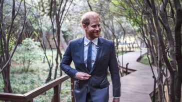 Le prince Harry surfe avec Kelly Slater dans une installation de vagues artificielles