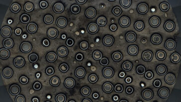 Des cercles concentriques entourent des dizaines de petites particules d'uranium.