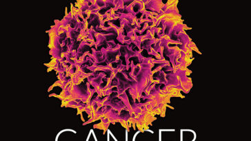 Couverture du numéro du 24 août 2024 de Science News