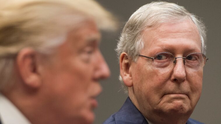 Mitch McConnell a qualifié Trump de « stupide », de « sleazeball » et d'« être humain méprisable », puis l'a approuvé pour la présidence, révèle un biographe
