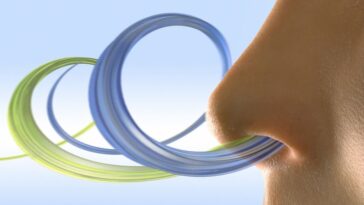 Votre cerveau peut percevoir de subtils changements d’odeur en un seul reniflement