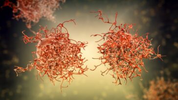 Aux États-Unis, les décès par cancer du col de l'utérus chutent chez les jeunes femmes