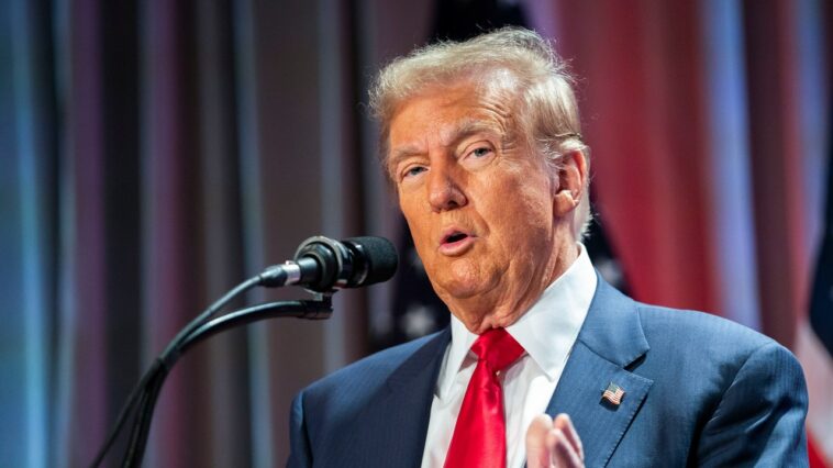 Donald Trump se prépare à utiliser l'armée pour procéder à des expulsions massives