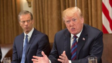 John Thune défiera-t-il Donald Trump ?
