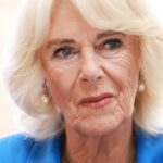 La reine Camilla annule ses fiançailles pour se remettre d'une « infection thoracique » La reine Camilla annule ses fiançailles pour se remettre d'une « infection thoracique »