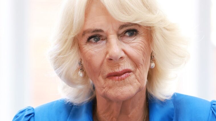 La reine Camilla annule ses fiançailles pour se remettre d'une « infection thoracique »