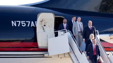 Le « Département de l'efficacité gouvernementale » d'Elon Musk n'est qu'un groupe consultatif temporaire avec un acronyme ringard