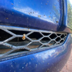 Ce gros plan du pare-chocs et de la calandre d'une voiture bleue montre celle-ci recouverte d'insectes écrasés, dont deux abeilles clairement identifiables.