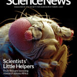 Couverture du 5 octobre 2024 de Science News