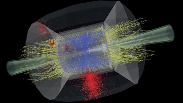 Les muons accélérés rapprochent les collisionneurs de particules de nouvelle génération de la réalité