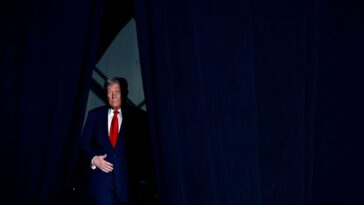 Pourquoi l’élection de 2024 a été définie par « des conneries folles après des conneries encore plus folles »