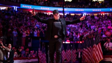 Surprise : Elon Musk, qui pourrait gagner des milliards sous Trump, se réjouit de l'élection