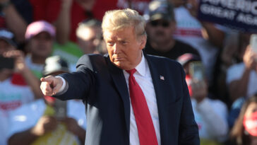 cc Gage Skidmore, 2020, https://en.m.wikipedia.org/wiki/File:Donald_Trump_%2850548265318%29.jpg