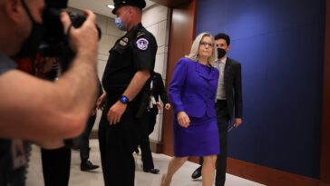 Trump, qui a un jour exhorté ses partisans à « se battre comme un enfer » le 6 janvier, a déclaré à la foule que Liz Cheney devrait avoir des armes « braquées sur son visage »