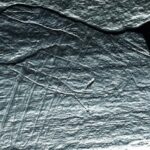 Un examen numérique présente des scènes gravées de pêche au filet à l'âge de pierre